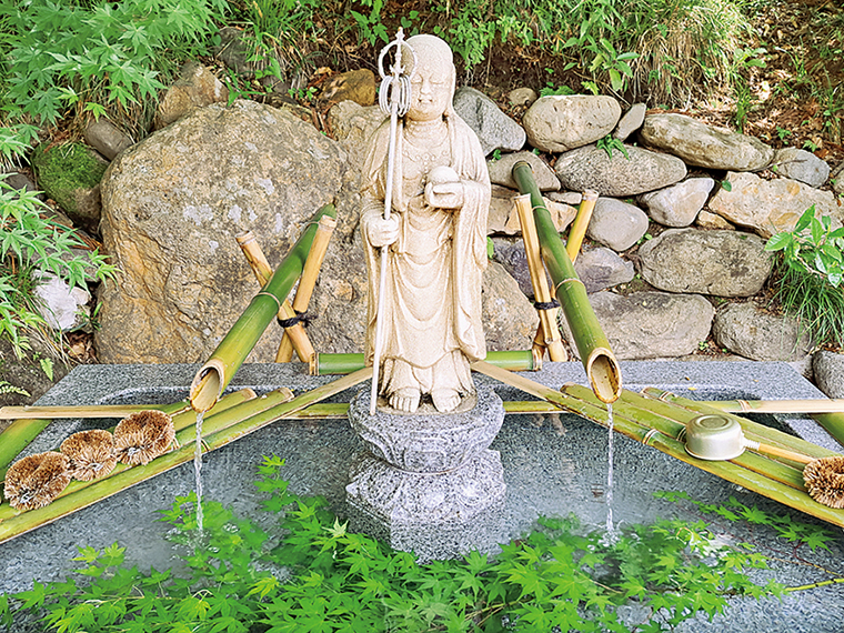 「とげぬき地蔵」も夏涼しげ