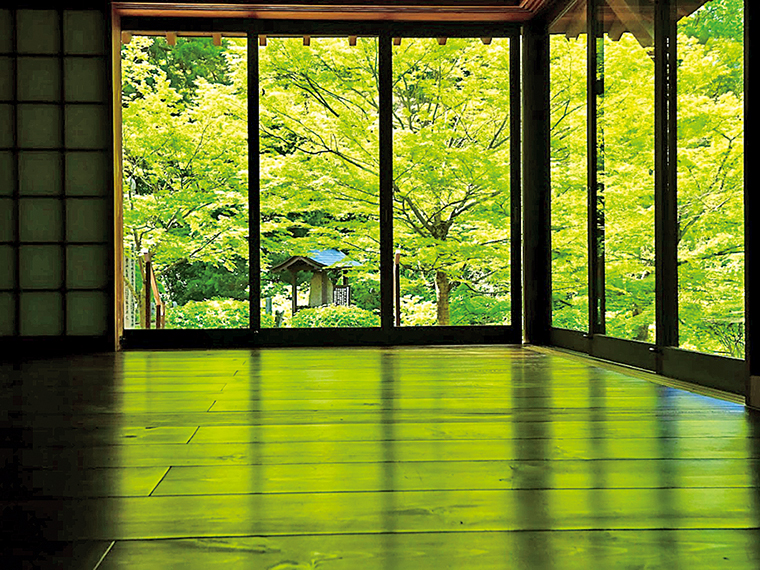 境内の「水月庵」では、青紅葉が床板に美しく映り込む「床モミジ」が見られる