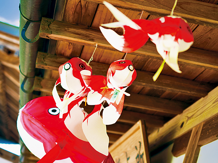 授与所には金魚提灯も