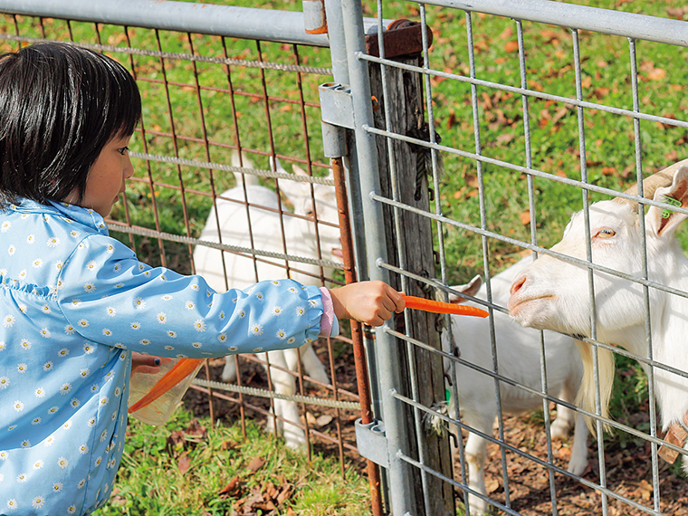 多様な動物が迎えてくれる「かちくどうぶつえん」。乗馬体験もあり(大人700円、小学生以下500円)
