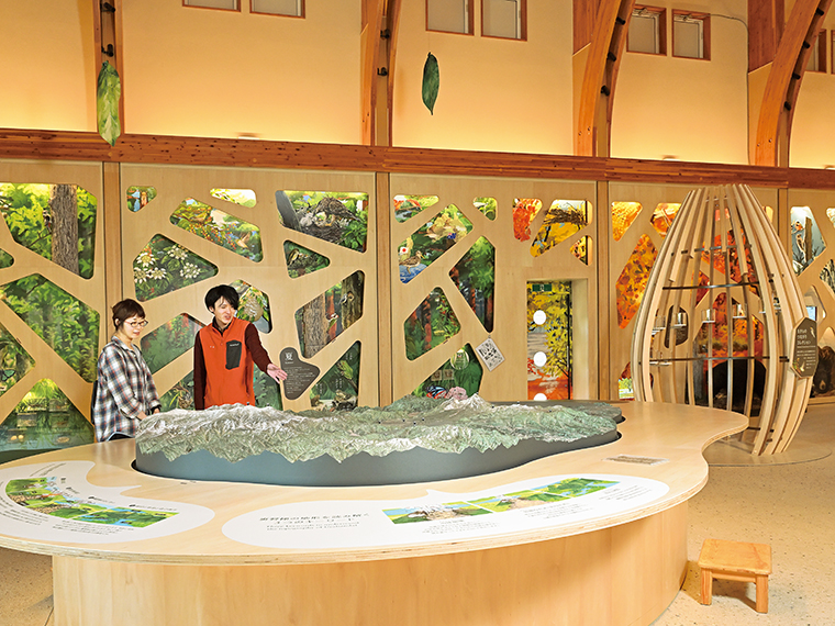 壁面の展示は木々の間から生き物の暮らしをのぞいているイメージを表現したそう。各展示は希望があれば解説員のレクチャーを聞くことができる