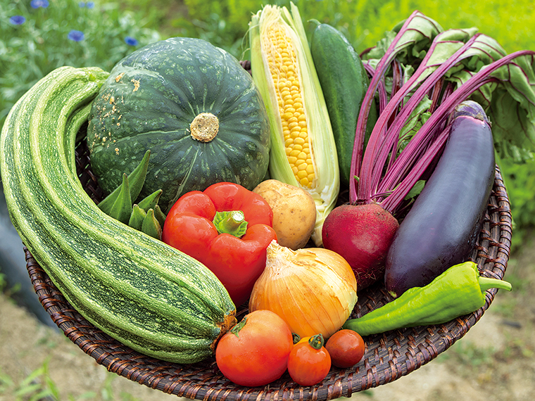 ［発送は8月上旬～11月下旬］「産直 旬のお野菜詰め合わせ」（3,000円）※写真の野菜は一例【ばちぎ農場［川俣町］】