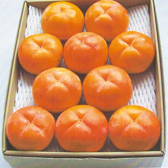 【お届け時期：12月中旬】『会津伝承会』会津みしらず柿