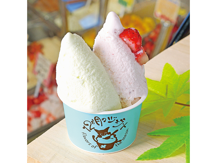「ジェラート各種」（400円～）【12か月のジェラート】