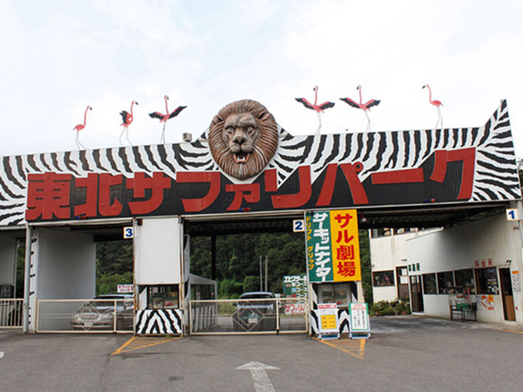 【東北サファリパーク】入場料を大人・シニアは500円割引小人は半額割引