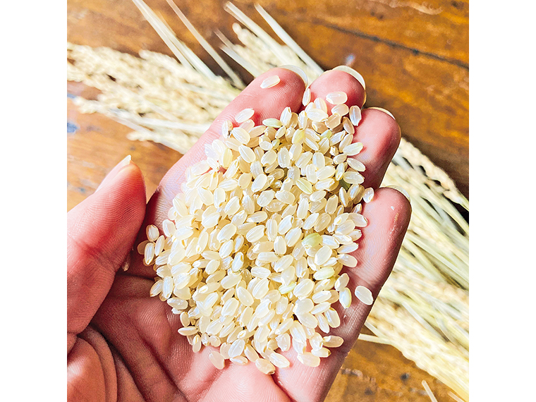 「アイガモ栽培 新米」（5kg・6,628円）【Bond＆Co.（ボンドアンドコー） ［会津若松市］】