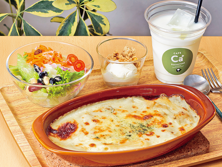 「グラタンセット｣（1,500円）はサラダ、グリークヨーグルト、ドリンク付き。まろやかな味わいのグラタンは、店長のお母様が家庭料理として作っていたレシピを再現