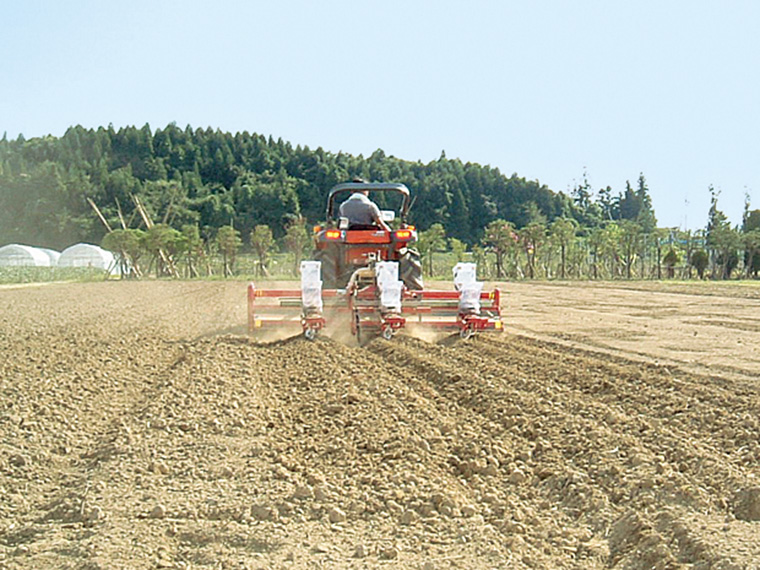 【6月上中旬頃】種まき▶▶▶