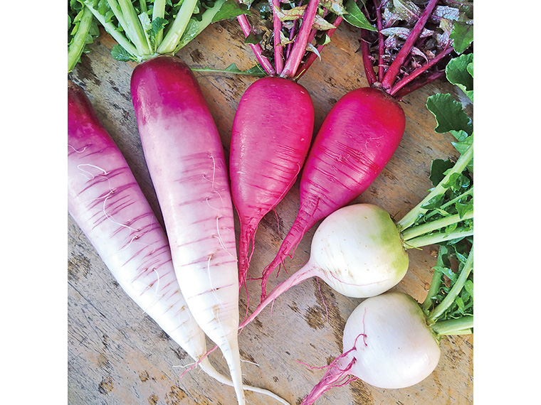 【発送は2026年1月中旬までを予定】「冬の野菜セット」（3,000円）【空（くう）ちゃん農園 ［郡山市］】