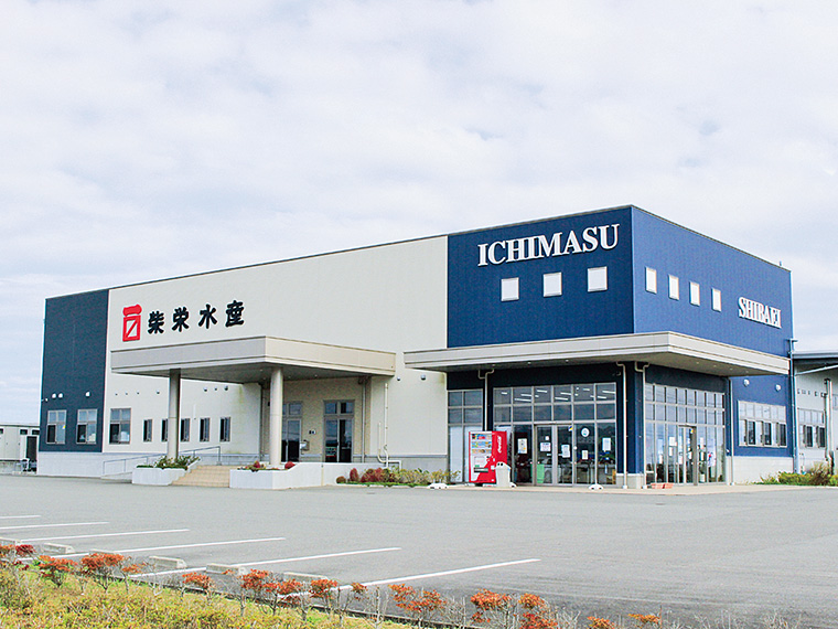 カタクチイワシの稚魚を加工して作る「しらす干し」「上乾しらす」などの加工品も人気。お土産にもぴったり