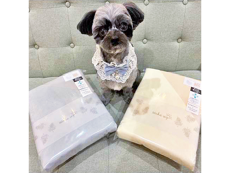 ペットと寝ている方へ。40サテン×パイルの防水タイプで安心なオリジナルカバーも販売。撮影協力／DogSalon Repos（ルポ）・虎鐵（こてつ）