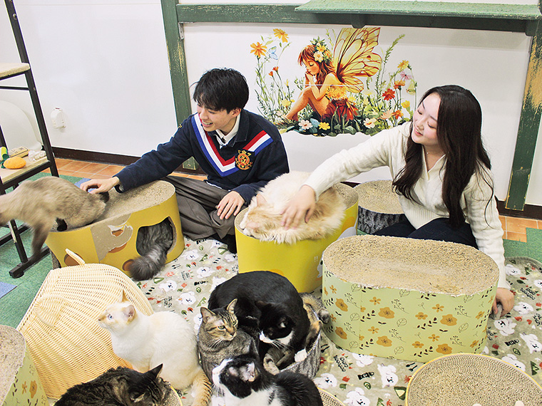 「どの猫ちゃんも人懐っこくて可愛かったです！大変癒やされました。」by.真子　「猫ちゃんに囲まれているのが幸せすぎて、終始ニヤけ顔でした（笑）」by.尊　「猫好きにはたまらない魅力がいっぱいの癒やしスポットでした！」by.里奈」