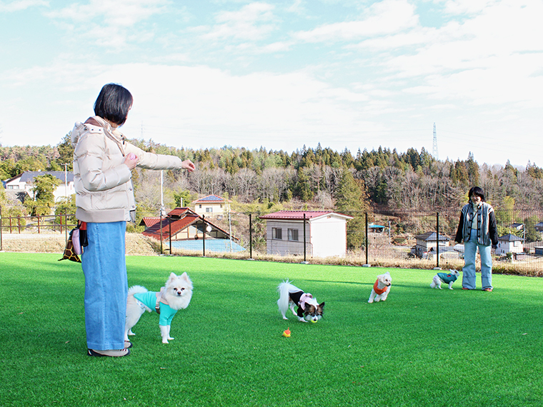 目の前に自然が広がるドッグラン。ロケーション最高！
