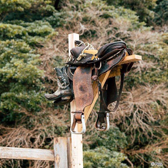 シンボルサドルが目印