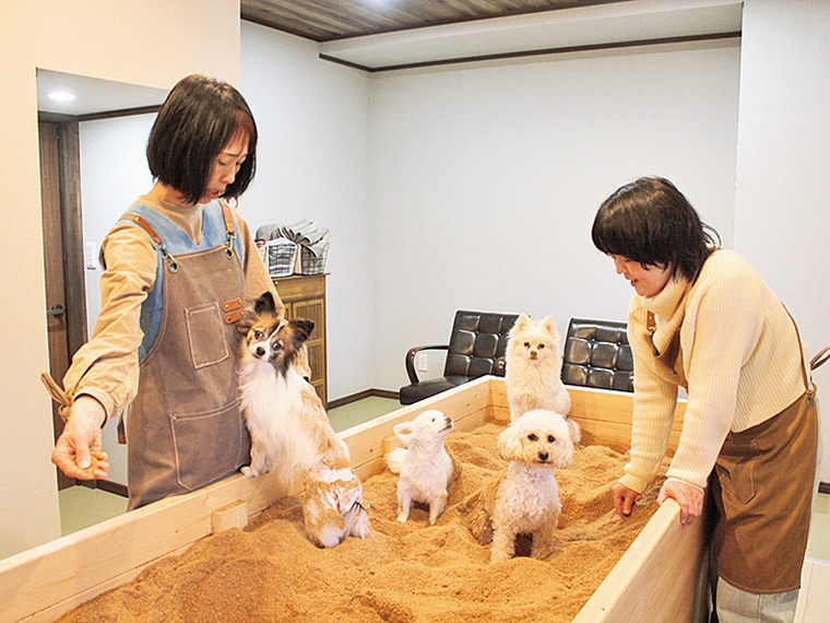 国産ヒノキなど天然植物100％だけを使った、人間用と同様の酵素風呂で体をやさしく温める