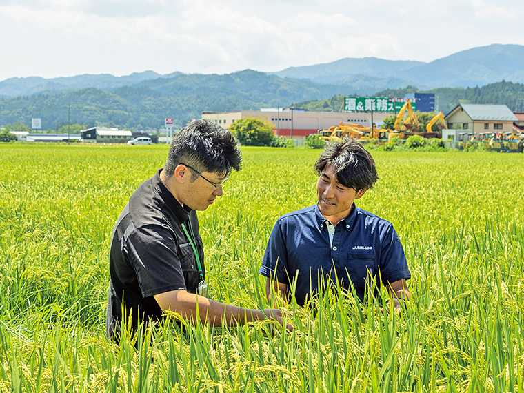 稲の生育調査を行う「JA東西しらかわ」の営農指導担当・金澤達典さん（入組14年目）。「今後も就農のサポートをしていきたいです」と金澤さん