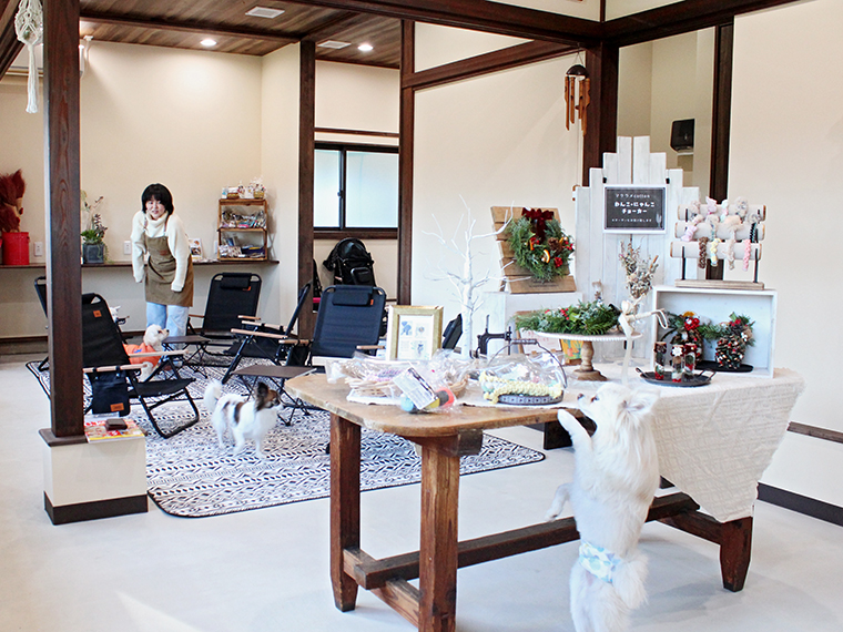 ペットとくつろぐカフェ＆酵素風呂は古民家をリノベーション