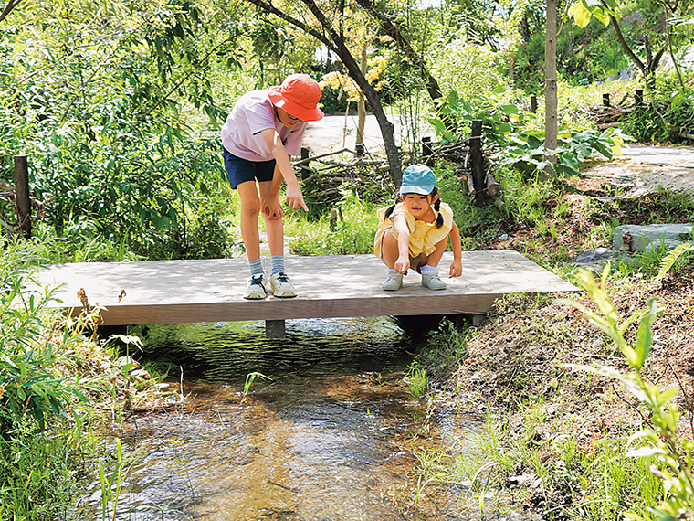 2025年にオープンした屋外エリア。春から秋は水に入って遊ぶことができる