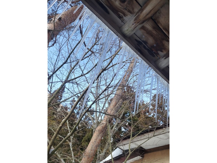 つららを見上げるのなんて何十年ぶりだろうか