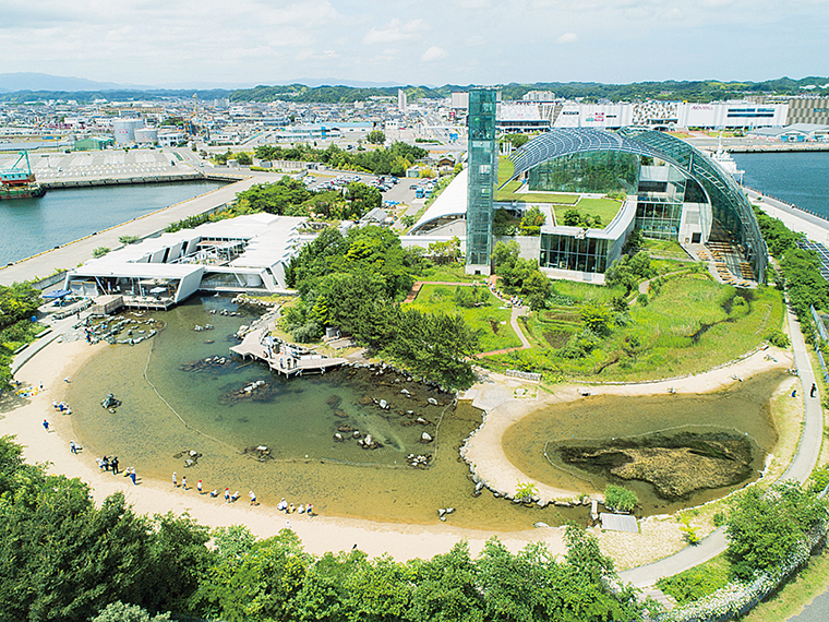 左にある白い建物がアクアマリンえっぐ。屋外には海辺や里山を再現したエリアがある