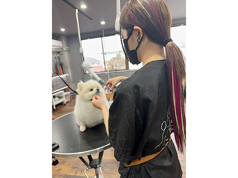 丁寧なトリミングでペットもリラックス