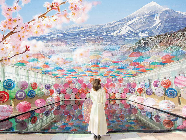 「雪見さくら祭り」イメージチラシより