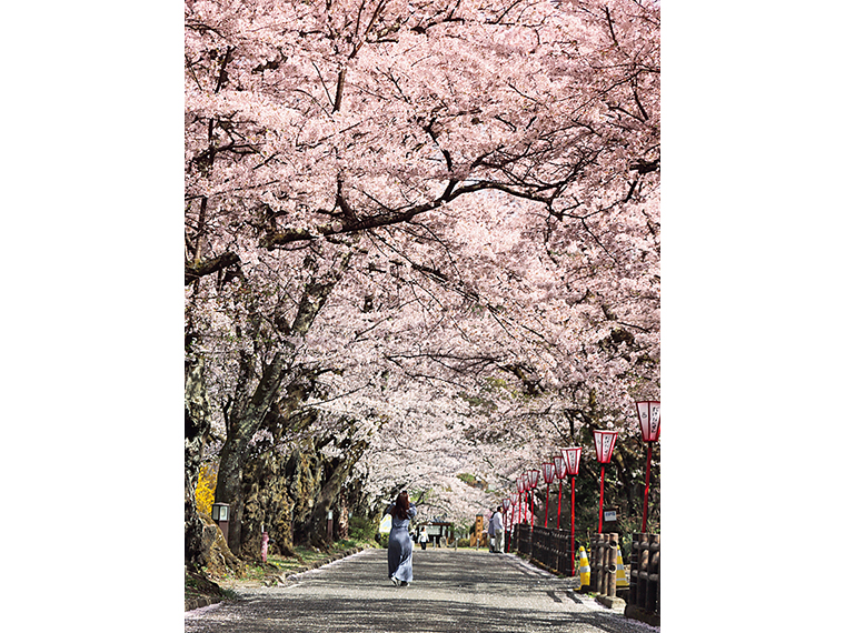 岳温泉街にある「岳温泉桜坂」。坂の途中には足湯もあり、全国的にも希少な酸性泉の湯を気軽に楽しめる