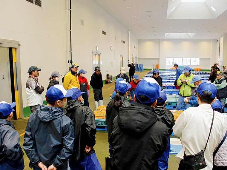 実際には多くの種類の魚介類が並んでいました