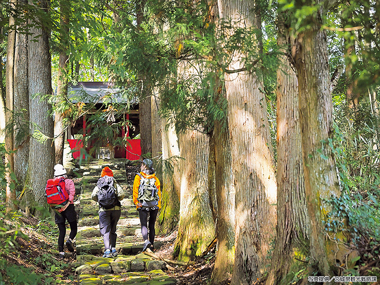 こけし発祥の地とされ、こけし工人である木地師が暮らす集落「こけしの里」。茅葺屋根の家並みは昔にタイムスリップしたよう。木地師の祖を祀った「惟喬（これたか）神社」もぜひ。杉に挟まれた参道を抜けると社殿が現れる