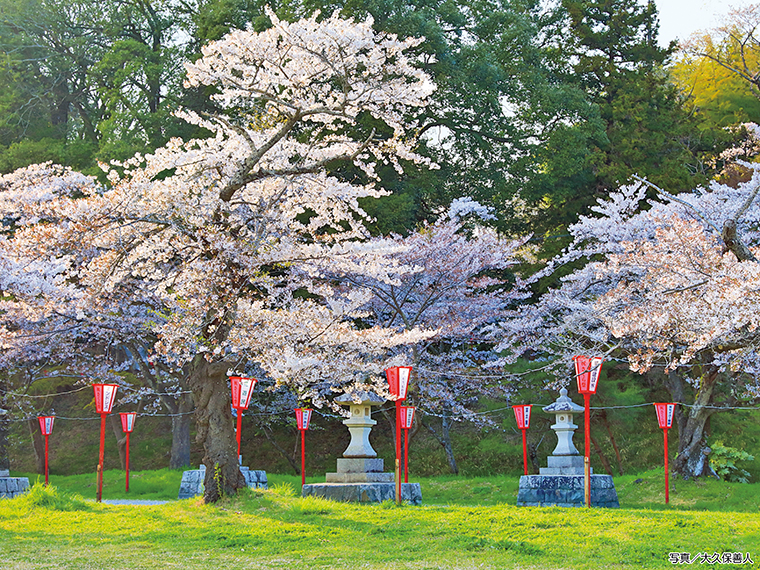 【見頃】4月上旬～中旬