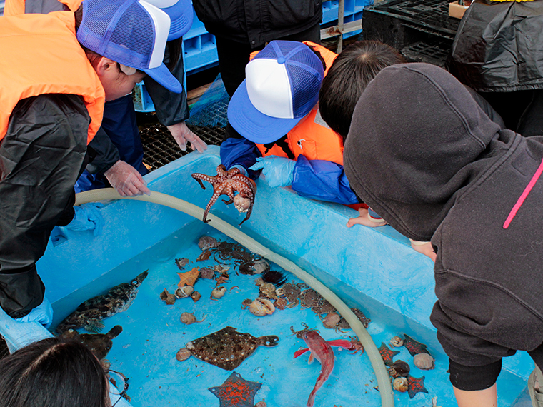ヤドカリを掴んでいるタコを発見！