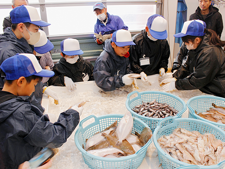 まずは魚種ごとに、その後大きさ別に選別していきます