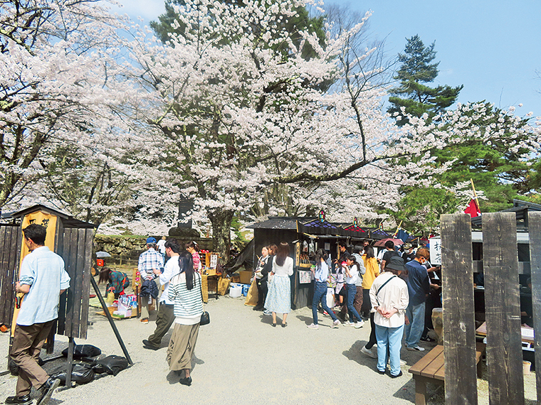 過去開催の様子。昼と夜に見せる桜の表情の変化を愛でながら、催しはもちろん、鶴ヶ城周辺の街歩きも楽しんでみては