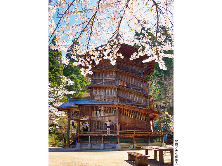 【見頃】4月中旬～下旬