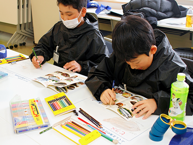 魚の細部まで調べて絵に描く子も