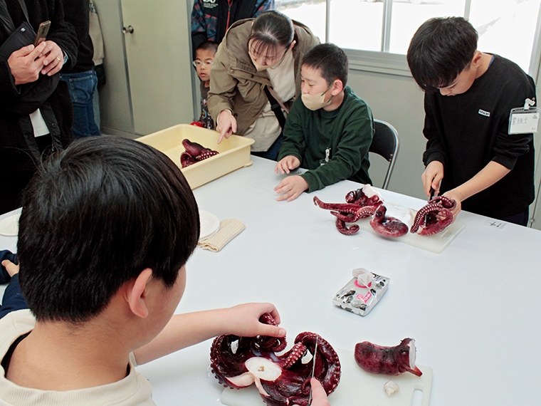 1人1杯のタコをさばいていきます