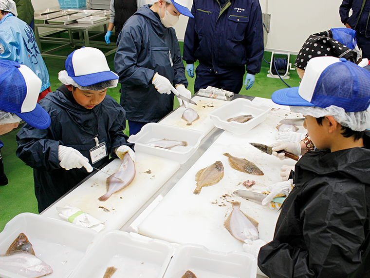 「魚の細かいウロコをとるのが難しい」「内臓をとるところが難しい」と悪戦苦闘