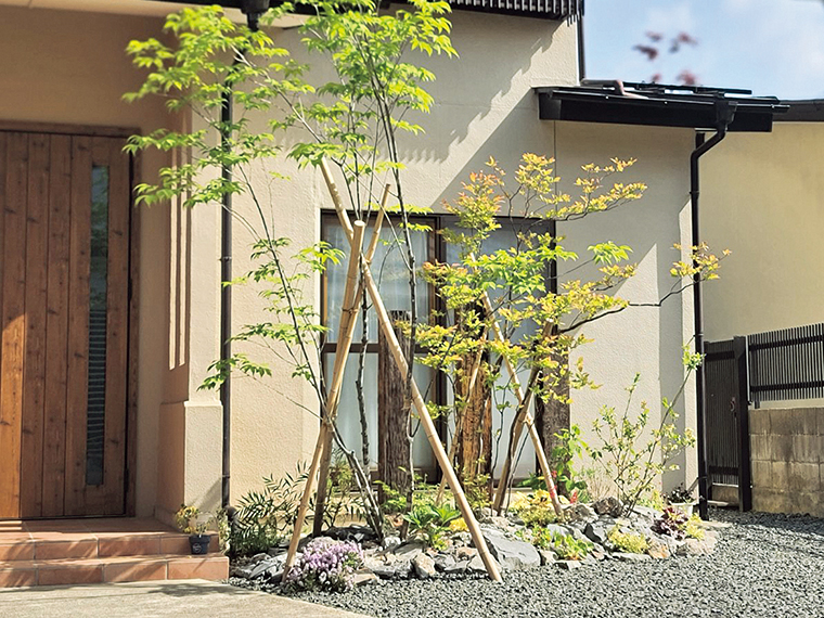 1年を通して楽しめる、多彩な植物を組み合わせた