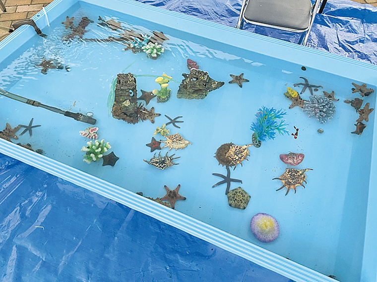 タッチプール利用時はタオルの持参がおすすめ