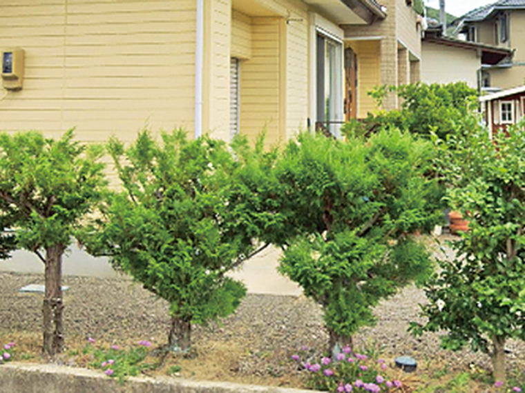 施工前：家の周りの生垣の手入れや剪定が負担になってきたとの相談を受けて…