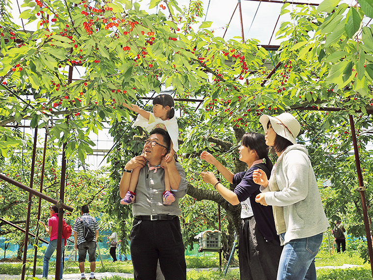 収穫したては格別