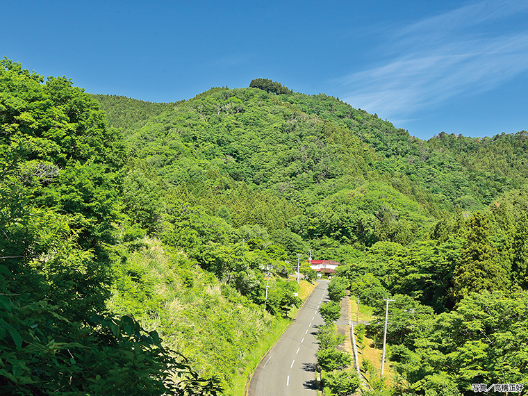 登山道の入り口にある鳥居をくぐると「狛犬」ならぬ、「狛鹿」と「狛狼」がお出迎え