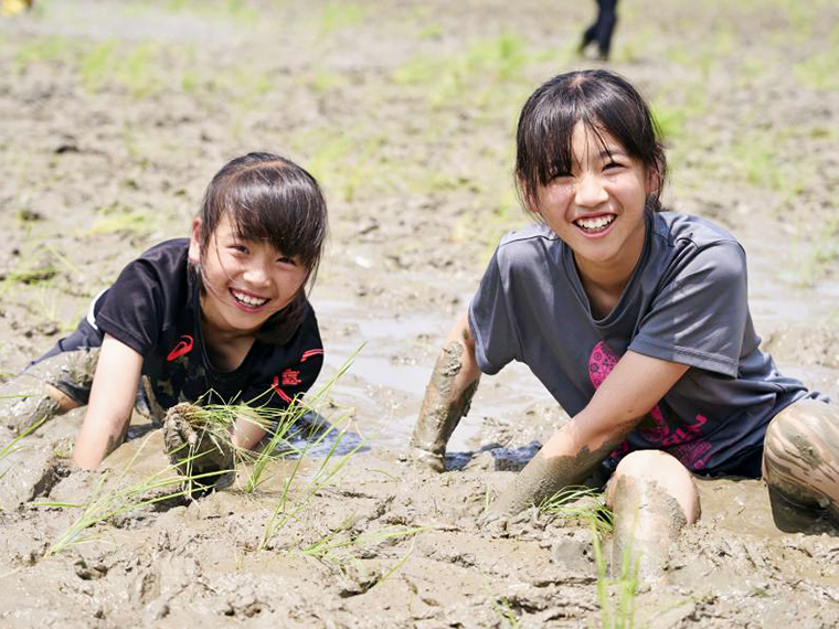 子どもたちが夢中になってしまう田植え体験。全身どろんこになって夏の思い出を作ろう