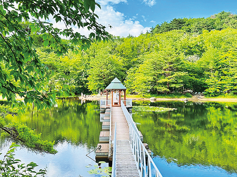 「あいの浮橋」は駐車場から歩いてすぐ。これからの季節はまぶしいほどの新緑に包まれる