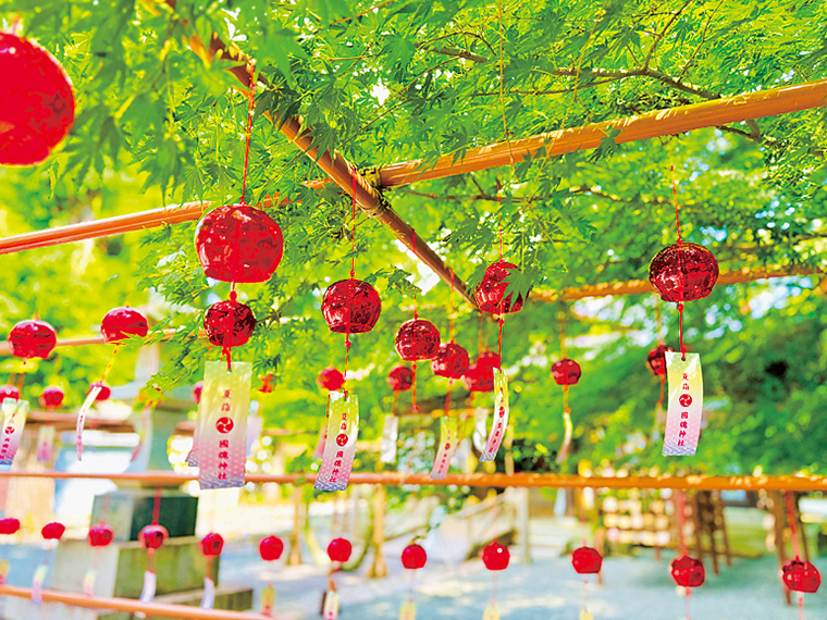 映えスポットとしても人気の『國魂神社』へ訪れよう