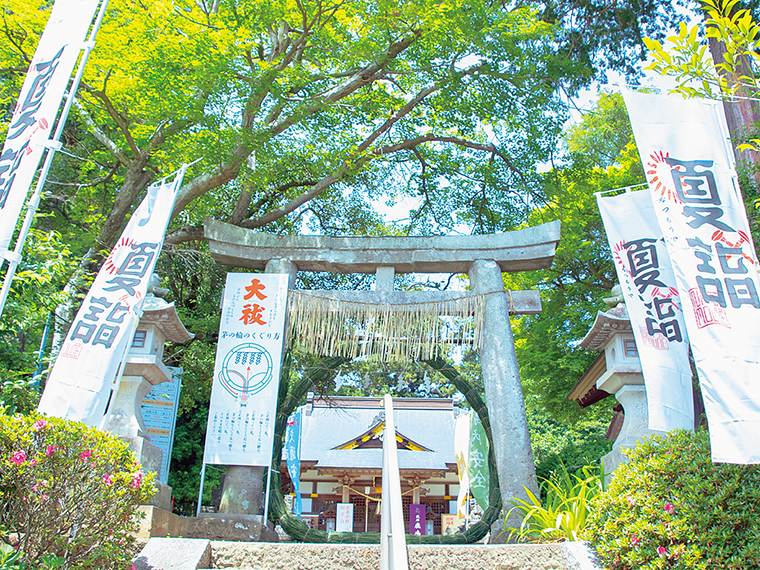 鳥居付近には茅の輪を用意。「茅の輪のくぐり方」の看板があるので参考にしてみよう