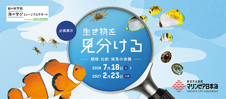 2027年2月23日（祝）まで開催の「生き物を見分ける－観察・比較・ 発見の体験－」のメインビジュアル