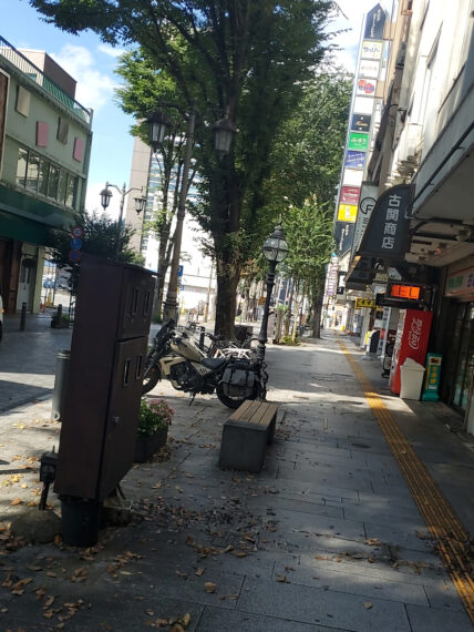 秋のパセオ通りは気持ちの良いウォーキングコース